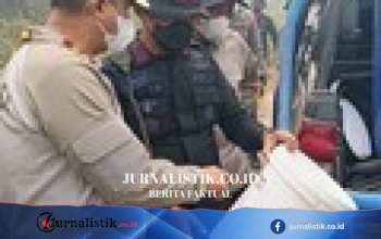 BRIN Ungkap Potensi Pati Singkong sebagai Retardan Karhutla: Efektif, Tapi Perlu Uji Terukur