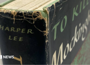 Karya Harper Lee: edisi AS pertama To Kill a Mockingbird ditemukan di toko Oxfam London Barat