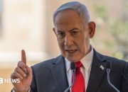 Netanyahu: Penyerang di pesawat Flydubai diduga menjalani “Islamist radical indoctrination”