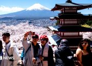 Jepang Melipatgandakan Biaya Residensi Tetap untuk Warga Asing Hingga 20 Kali