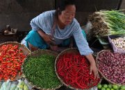 Inflasi September 2026 Naik 0,3% Dipicu Harga Cabai hingga Ayam