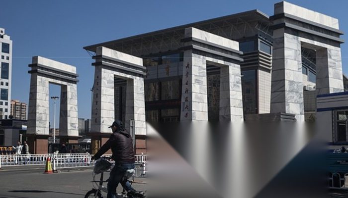 Reputasi Kampus Tiongkok Makin Meluas, Kenapa Nasib Dosen Justru Kian Sulit?
