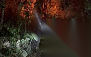 Dit Samapta Polda Gorontalo dan Tim Gabungan Padamkan Titik Api Kebakaran di Lereng Gunung Lombongo