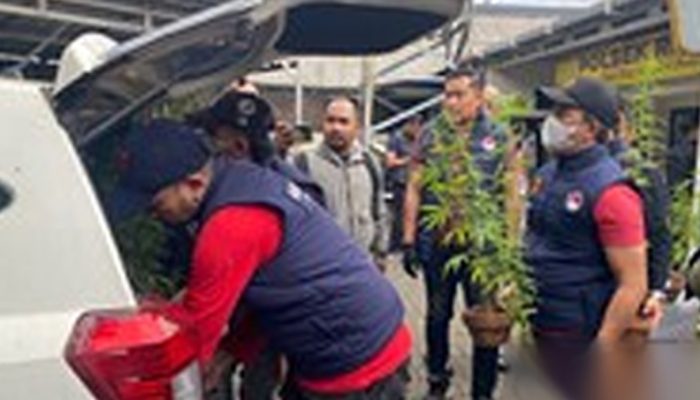 Hampir Tiga Minggu, Perpindahan Alamat MyRepublic Masih Belum Rampung