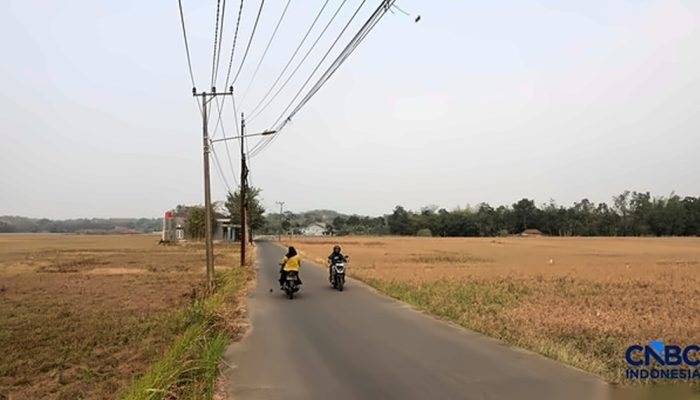 BPS: El Nino 2026 Bikin Produksi Beras RI Menurun Lebih Berat dari 2023