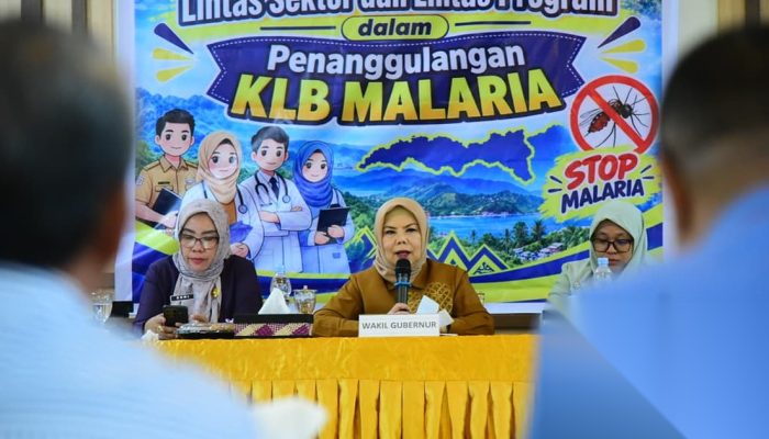 Malaria di Gorontalo Naik Tajam, Wagub Idah Dorong Koordinasi Lintas Sektor hingga Zero Malaria 2030