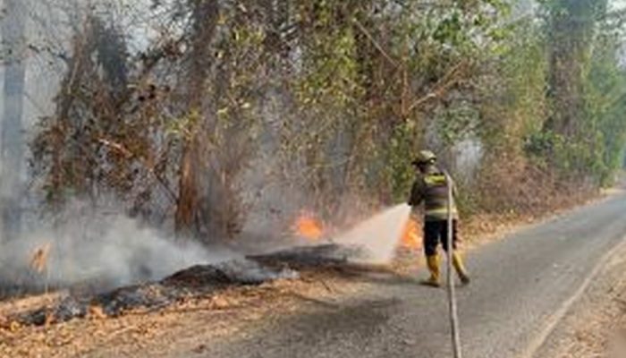 Tanggap Cepat Dit Samapta Polda Gorontalo Padamkan Karhutla di Desa Huluduotamo, Bone Bolango