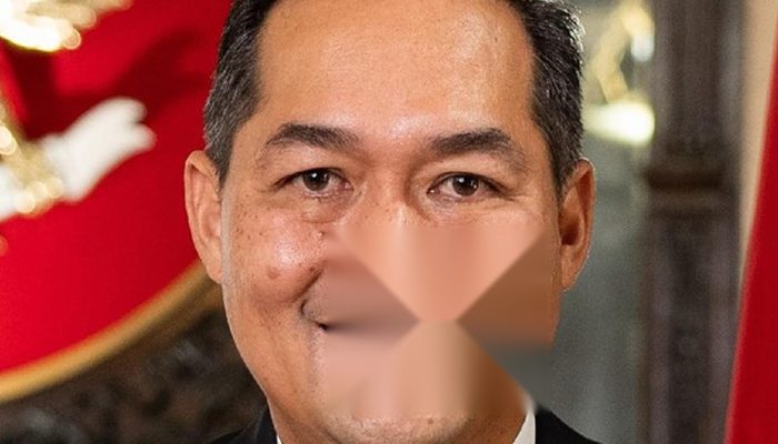 Muhammad Lutfi Tantang Singapura Tindak Tegas Perusahaan Sawit di Balik Karhutla