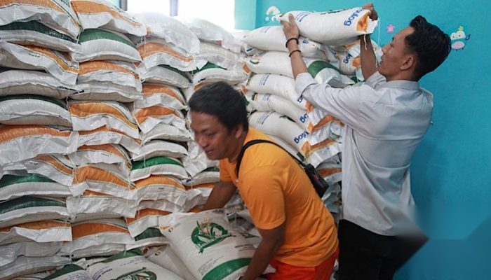 BPK Soroti DTSEN yang Belum Jadi Acuan Data Utama Belanja Pemerintah 2025