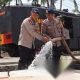 Kemarau Keringkan Sumber Air, Brimob Polda Gorontalo Distribusi 12.000 Liter ke Pemukiman Pentadio Barat