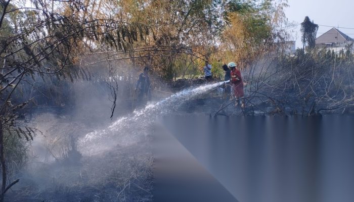 BPBD Gorontalo Redam Karhutla di Bone Pantai, Medan Sulit Tak Menghambat