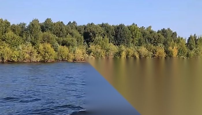 Pulau Berhutan yang Hilang di Waduk Williston Kanada Muncul Lagi, Tergeser 30 Km