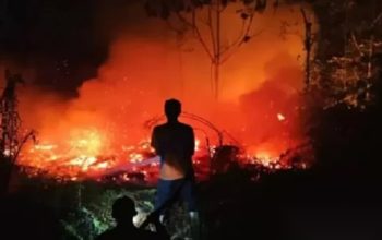 Indonesia Terima Bantuan Cairan Pemadam Karhutla dari Brazil, Menko Polkam Dudung: Sudah Dicoba di Sumatera Selatan dan Kalimantan