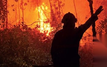 BEI Minta Klarifikasi PGUN soal Potensi Gugatan Terkait Karhutla